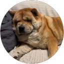 Miya Greth V. profile picture